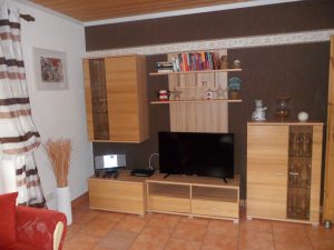 Ferienhaus Deichwiese Wohnzimmer mit Fernseher, Radio, Bücher